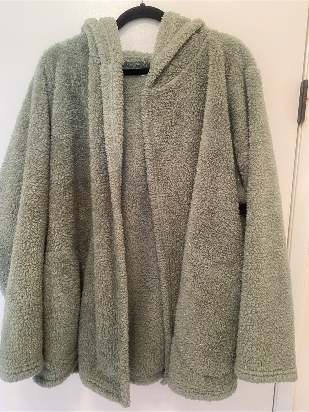 Denim&Co Plush Sparkle Hooded Teddy Jacket in Sage 2X
